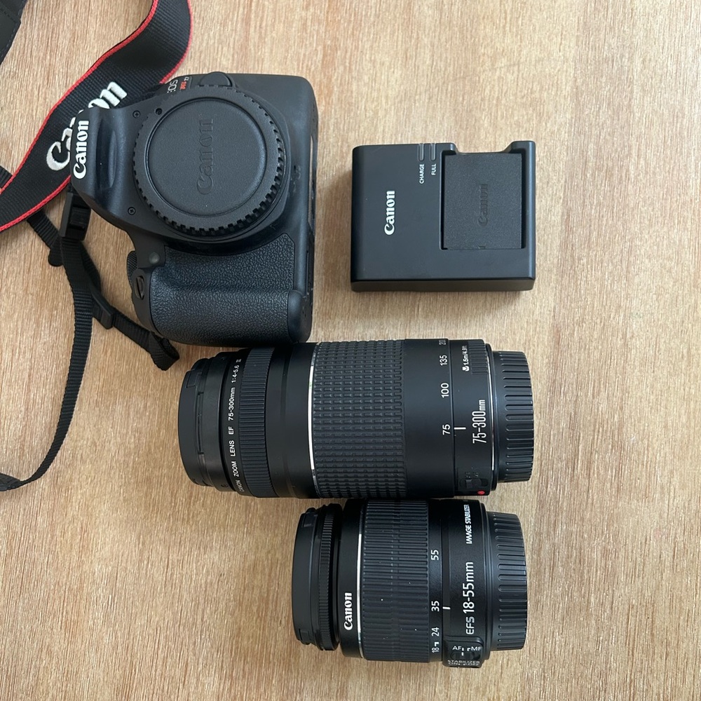 Canon EOS REBEL T7 EF18-55mm + EF
75-300mm Double Zoom KIT